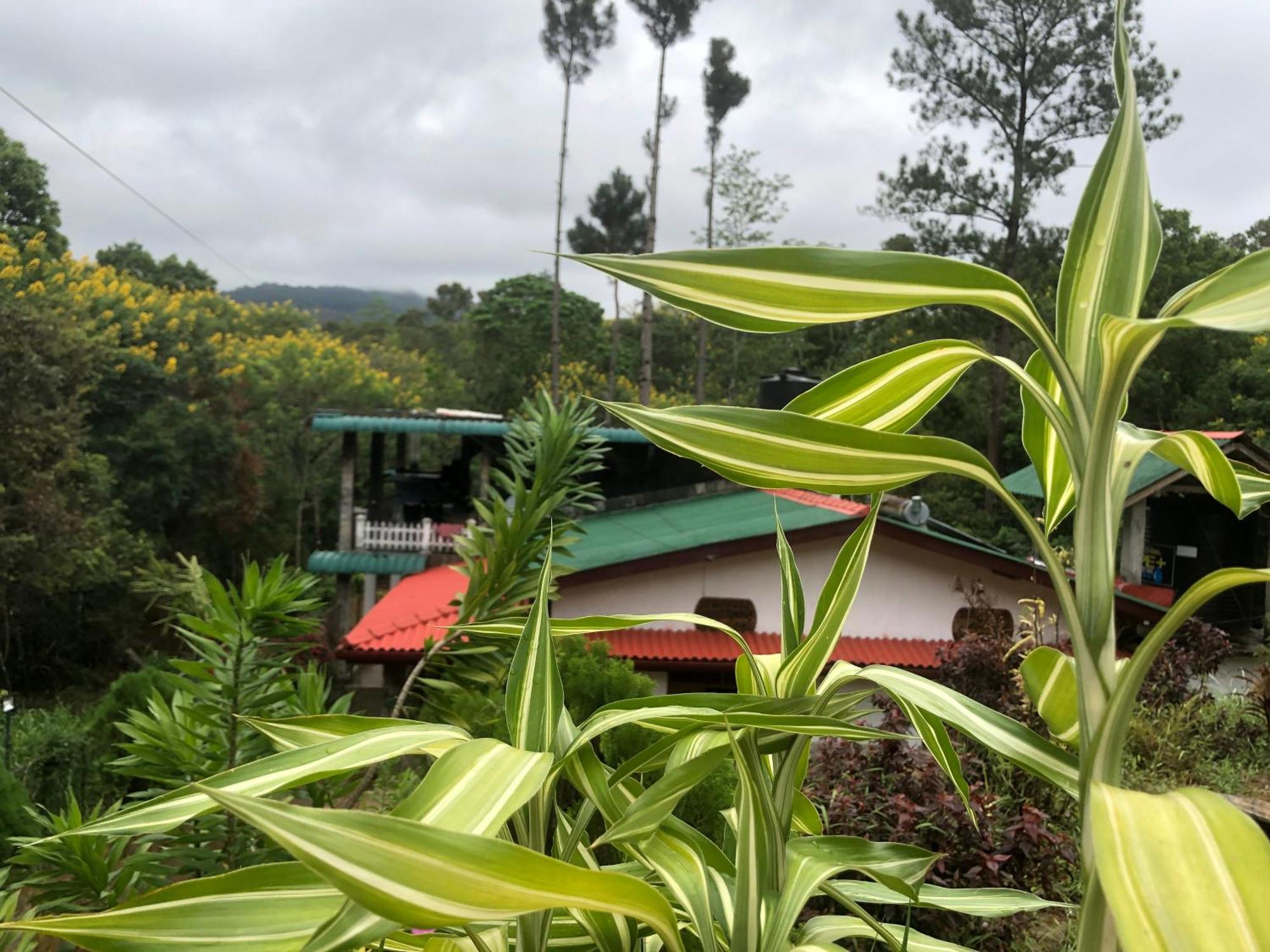 Hamadhi Guest Hotel Haldummulla Exterior photo
